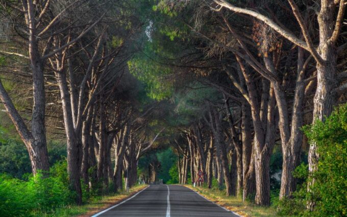 Marmaris: Yuvarlakcay and Akyaka Trip With Cruise and Lunch - Booking and Cancellation