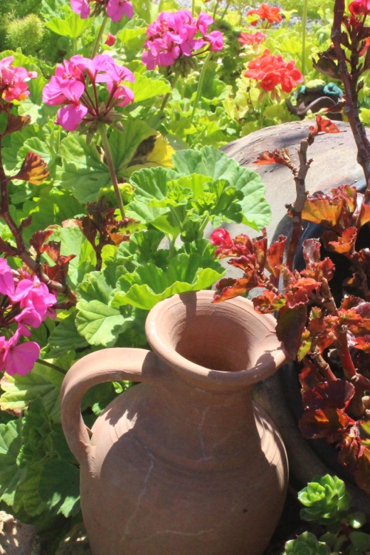 Marne: Champagne Region Private Day Tour With Lunch - Champs-Élysées of Champagne