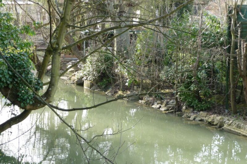 Marne River Loop Day Cruise With Lunch on Board - Highlights of the Cruise
