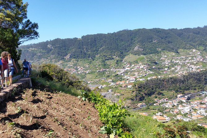 Maroços - Mimosa Valley - Good To Know