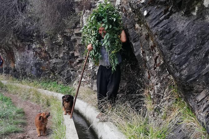 Maroços - Mimosa Valley - Hiking the Aqueducts