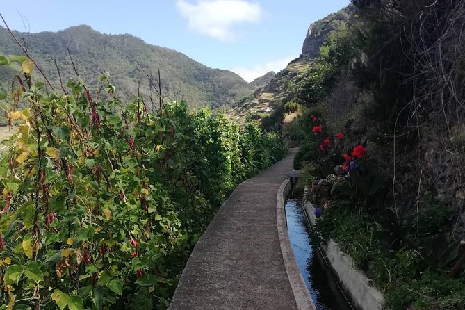 Maroços - Mimosa Valley - Panoramic Views of Machico