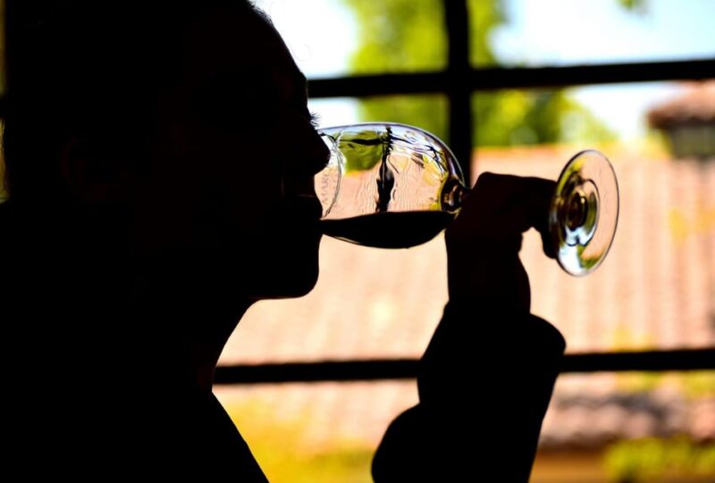 Marques De Casa Concha Tour / Wine Tasting - Key Points
