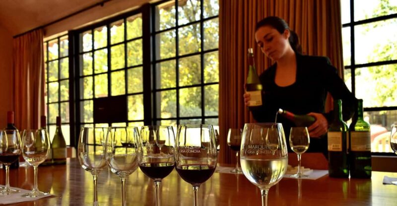 Marques De Casa Concha Tour / Wine Tasting - Pickup and Transportation
