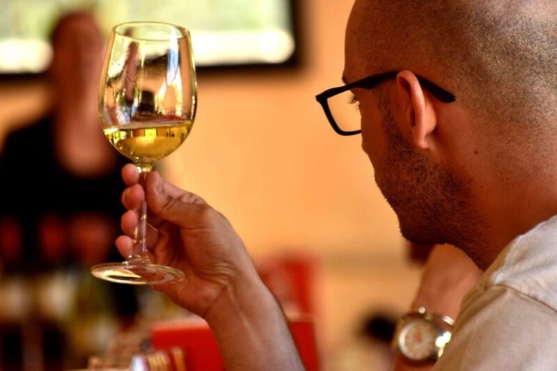 Marques De Casa Concha Tour / Wine Tasting - Vineyard and Winery Exploration