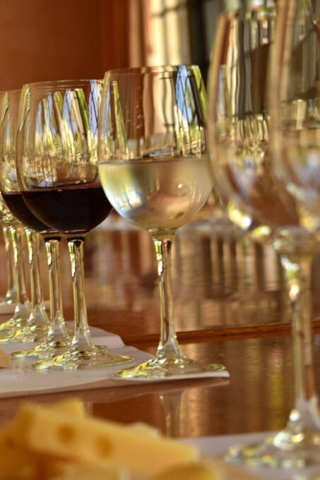 Marques De Casa Concha Tour / Wine Tasting - Important Considerations