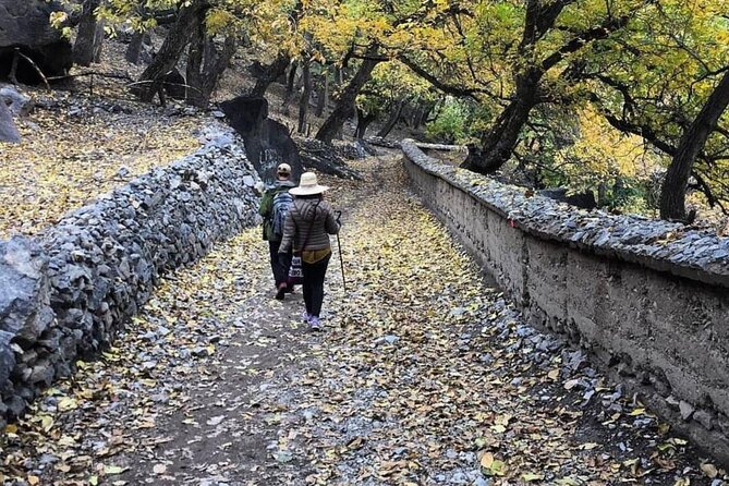 Marrakech: 2-Day Atlas Mountains Trek With Village Stay - Cultural Immersion in Villages