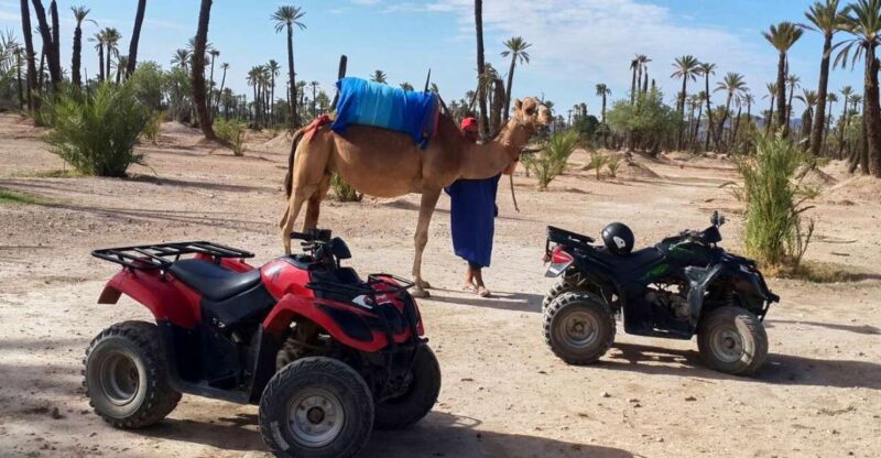 Marrakech: 2-Hour Quad Bike & Camel Ride in Palmeraie - Key Points