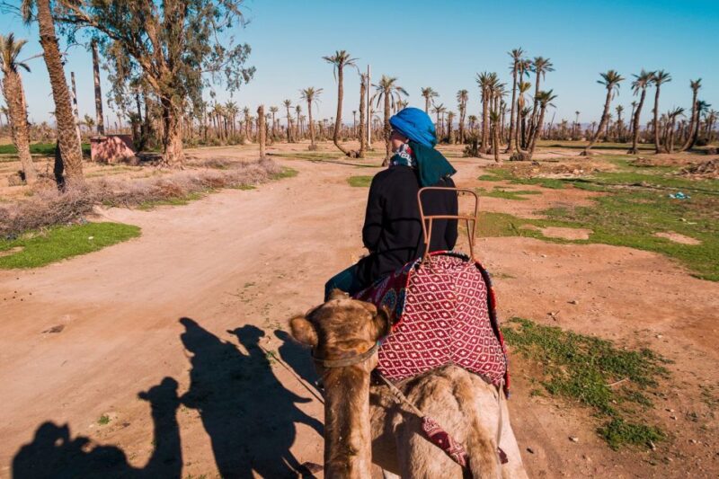 Marrakech: 2-Hour Quad Bike & Camel Ride in Palmeraie - Camel Ride Experience