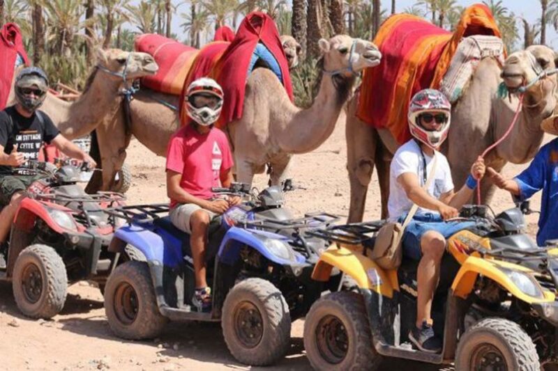 Marrakech: 2-Hour Quad Bike & Camel Ride in Palmeraie - Itinerary Details