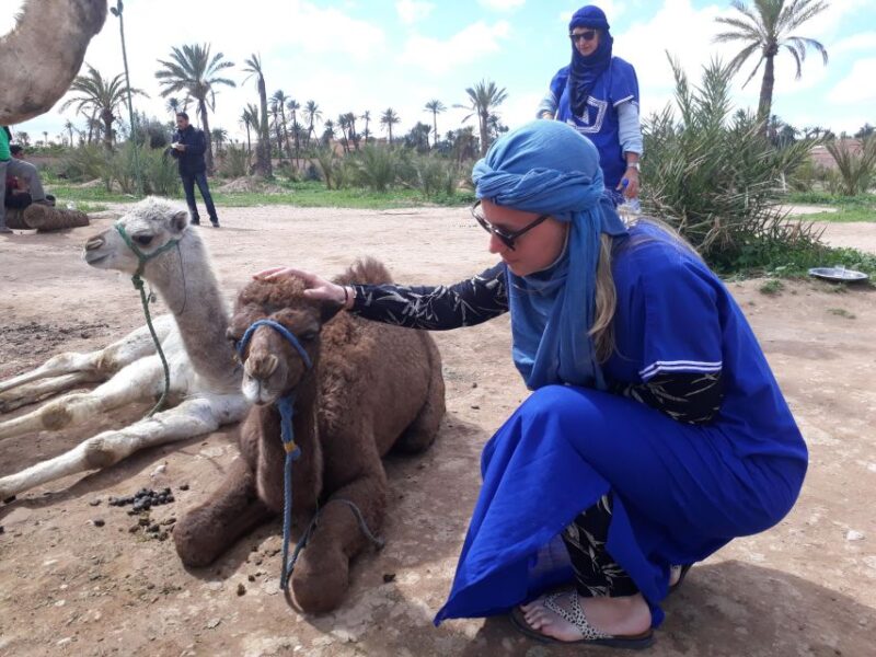 Marrakech: 2-Hour Quad Bike & Camel Ride in Palmeraie - Inclusions and Equipment
