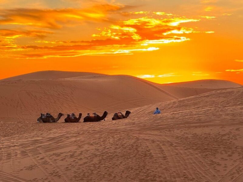 Marrakech: 3-Day Desert Trip to Fes With Accommodation - Included Features