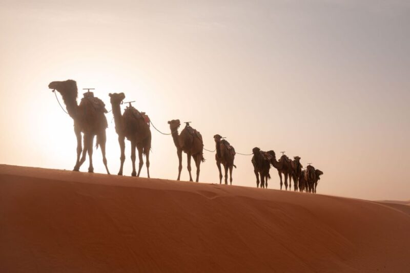 Marrakech: 3-Day Trip to Fez via the Merzouga Sahara Desert - Itinerary Highlights
