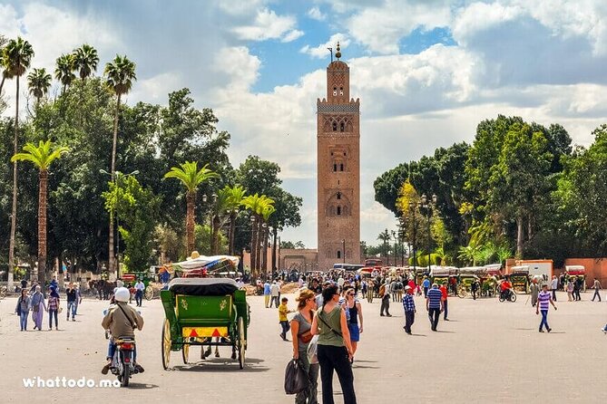 Marrakech: 3-Hour Tour of the Main Monuments - Meeting and Pickup Details