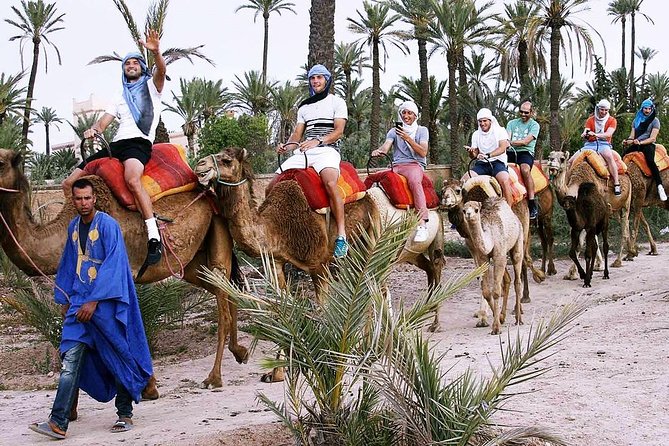 Marrakech Activities: Camel Ride Tour Marrakech - Camel Ride Experience