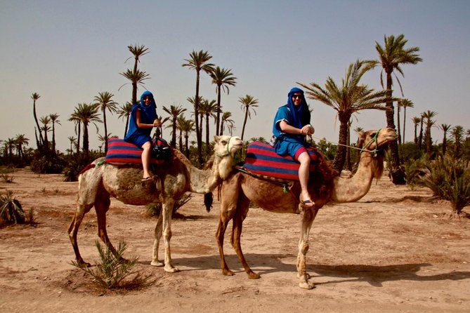 Marrakech Activities: Camel Ride Tour Marrakech - Transportation and Guide