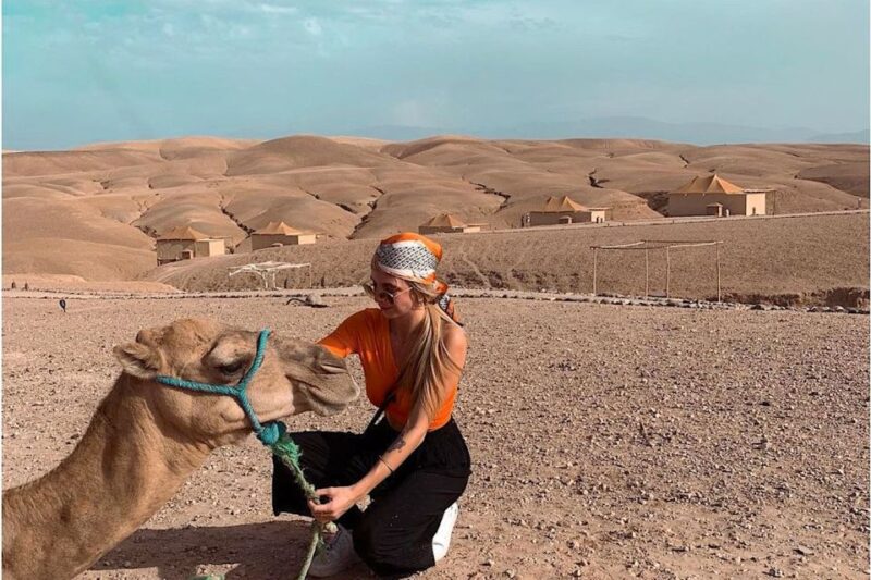 Marrakech: Agafay Desert, Camel Ride, and Berber Dinner - Customer Reviews and Ratings