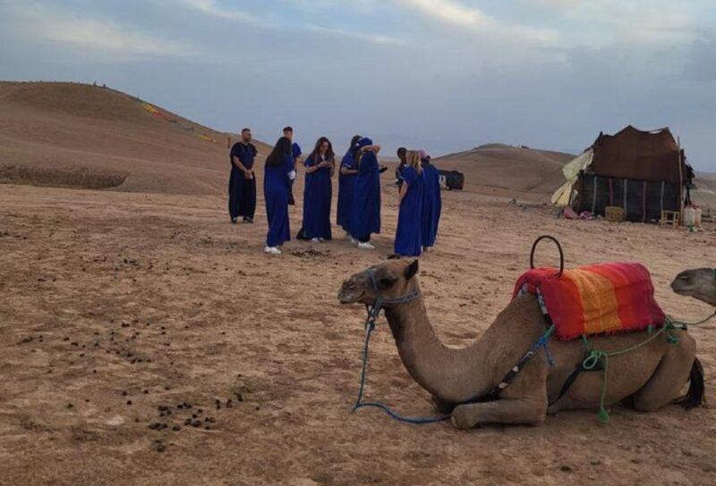 Marrakech : Agafay Desert, Dinner Show & Camel Ride Sunset - Customer Satisfaction and Reviews