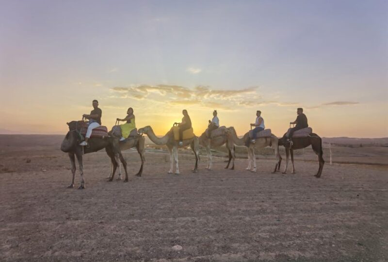 Marrakech: Agafay Desert Dinner Show With Sunset Camel Ride - Transportation and Inclusions