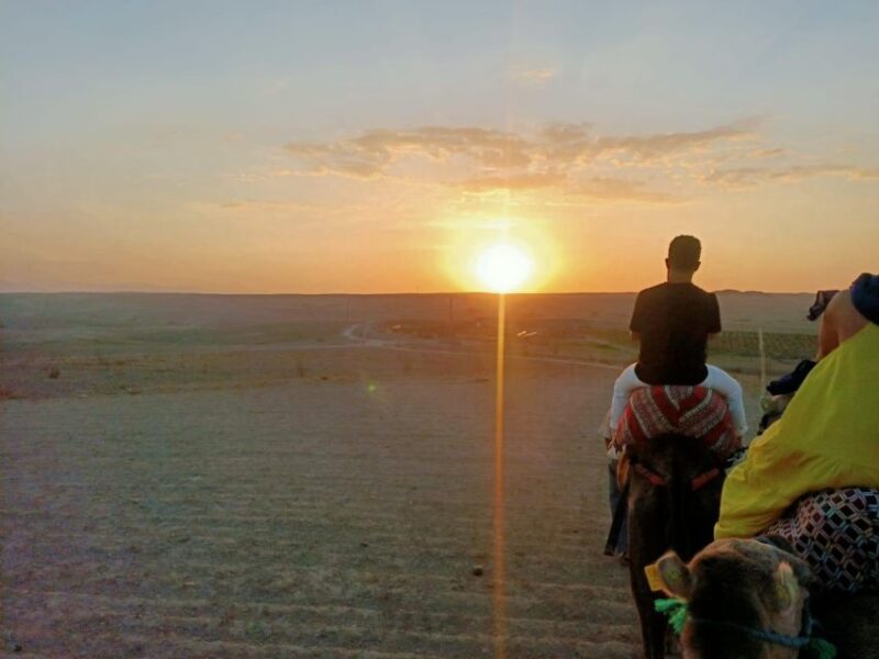 Marrakech: Agafay Desert Dinner Show With Sunset Camel Ride - Participant Information