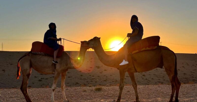 Marrakech: Agafay Desert Dinner Show With Sunset Camel Ride - Highlights and Cultural Insights
