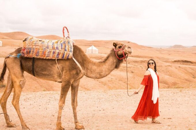 Marrakech: Agafay Desert Dinner Show With Sunset Camel Ride - Dinner and Entertainment