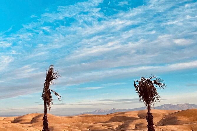 Marrakech Agafay Desert Dinner Show With Sunset Camel Ride - Additional Tour Information
