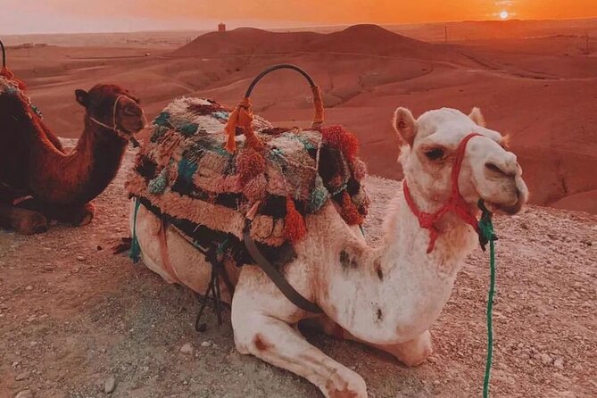Marrakech : Agafay Desert Evening Trip Under the Stars - Itinerary and Activities