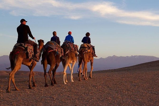 Marrakech : Agafay Desert Evening Trip Under the Stars - Pickup and Drop-off Details