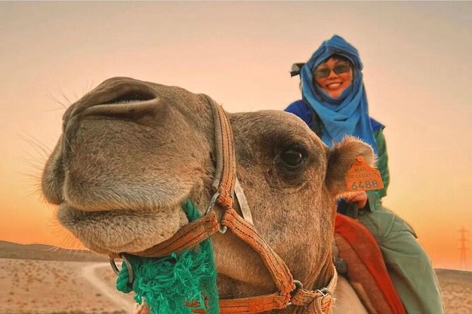 Marrakech : Agafay Desert Evening Trip Under the Stars - Moroccan Dinner and Entertainment