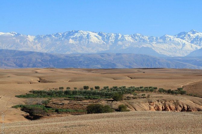 Marrakech : Agafay Desert Evening Trip Under the Stars - Reviews and Cancellation Policy