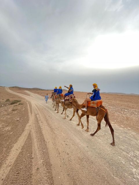 Marrakech: Agafay Desert Quad, Camel & Pool Trip With Lunch - Key Points