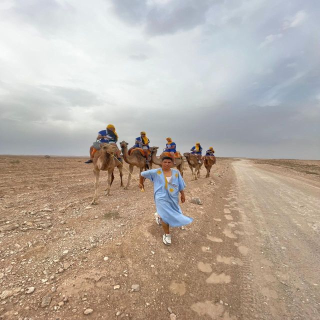 Marrakech: Agafay Desert Quad, Camel & Pool Trip With Lunch - Pricing and Discounts