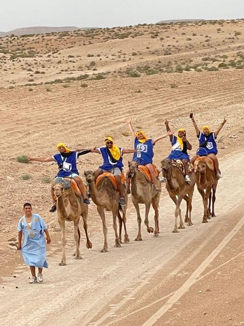 Marrakech: Agafay Desert Quad, Camel & Pool Trip With Lunch - Swimming at the Desert Retreat
