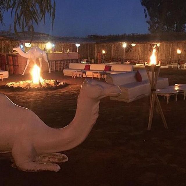 Marrakech: Agafay Desert Quad & Camel Rides With Dinner Show - Exceptional Customer Reviews and Ratings
