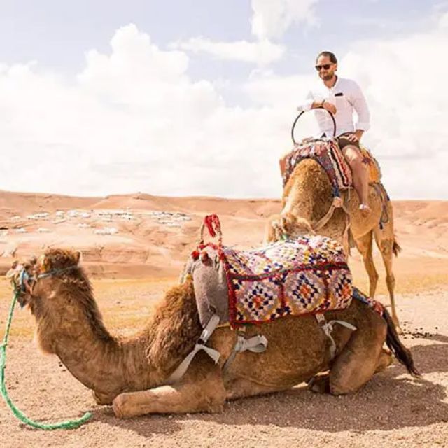 Marrakech: Agafay Desert Quad or Camel Trip With Dinner Show - Transportation and Accessibility