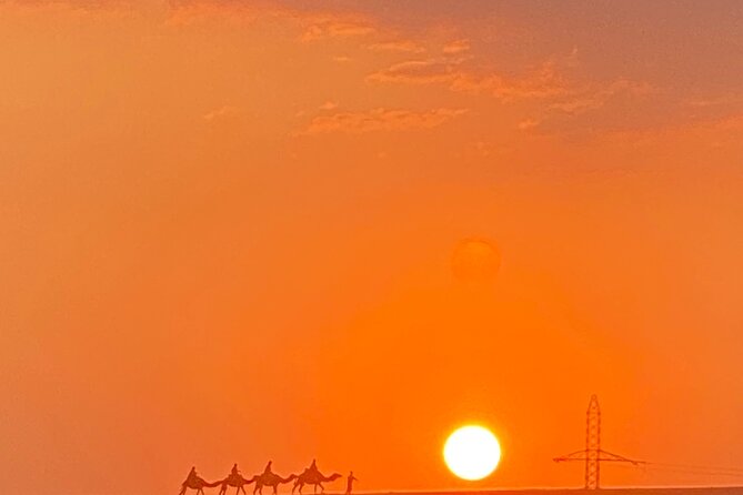 Marrakech : Agafay Desert Sunset Camel Ride & Magical Dinner Show - Dining Options