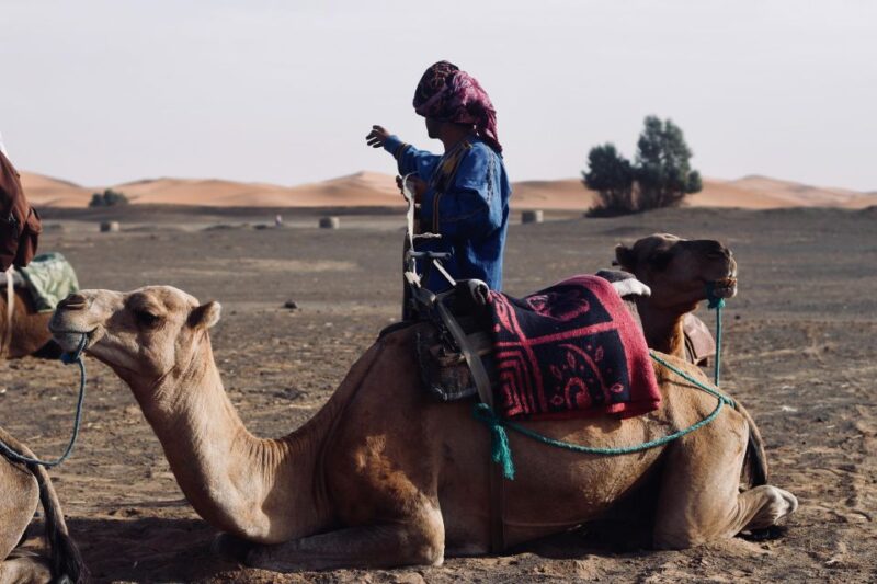 Marrakech: Agafay Desert Sunset Camel Ride With Dinner,Show - Key Points