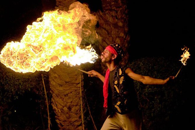 Marrakech: Agafay Desert Tour With Quad, Camel Ride & Dinner - Highlights of the Experience