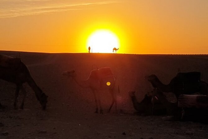 Marrakech: Agafay Desert Tour With Quad, Camel Ride & Dinner - Pricing and Cancellation Policy