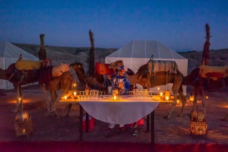 Marrakech: Agafay Trip, With Dinner and Show/Camel Rides - Pricing and Booking