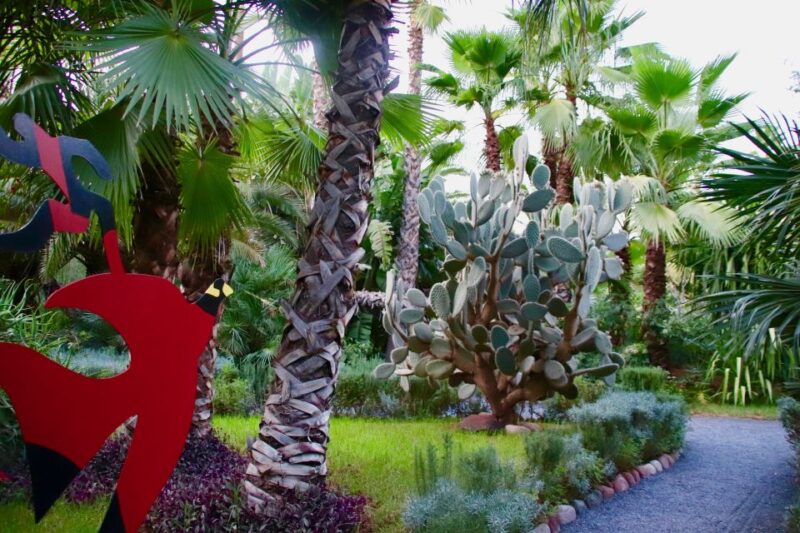 Marrakech: André Hellers ANIMA Garden Ticket - Visitor Experience and Amenities