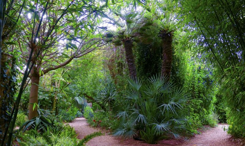 Marrakech: André Hellers ANIMA Garden Ticket - Accessibility and Transportation Options