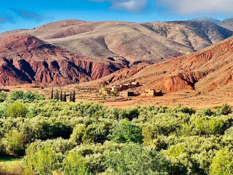 Marrakech: Atlas Mountain, Berber Villages, & Valleys Tour - Scenic Views