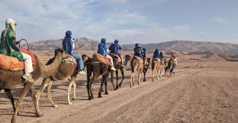 Marrakech: Atlas Mountains, 3 Valleys & Agafay Desert Tour - Key Points