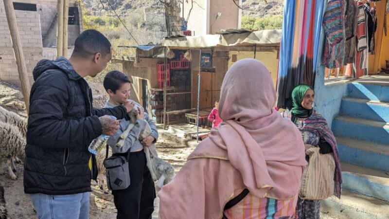 Marrakech: Atlas Mountains, 3 Valleys & Agafay Desert Tour - Pickup and Exploration