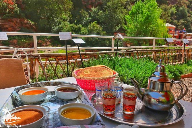 Marrakech: Atlas Mountains & 3 Valleys With Waterfall Tour - Traveler Feedback and Highlights