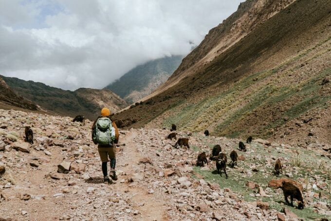 Marrakech: Atlas Mountains & Agafay Desert Tour W Camel Ride - Tour Languages and Pickup