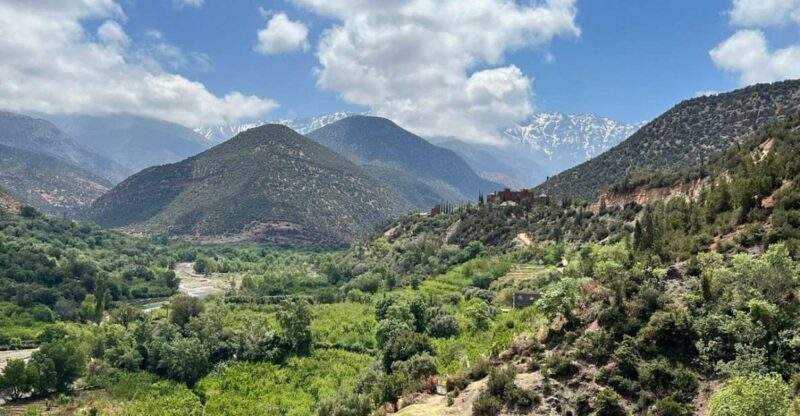 Marrakech: Atlas Mountains, Agafay Desert, Waterfall & Lunch - Camel Ride in Lala Takerkoust