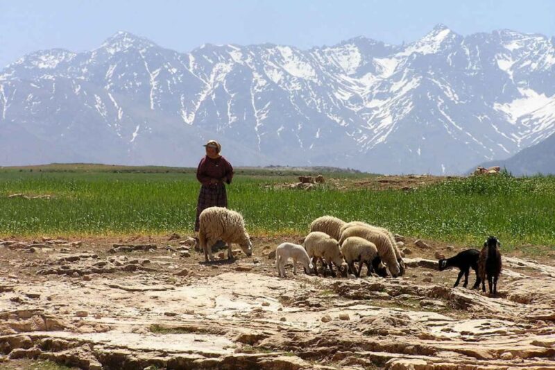 Marrakech: Atlas Mountains and Desert Jeep Safari With Lunch - Guided Trekking and Hiking
